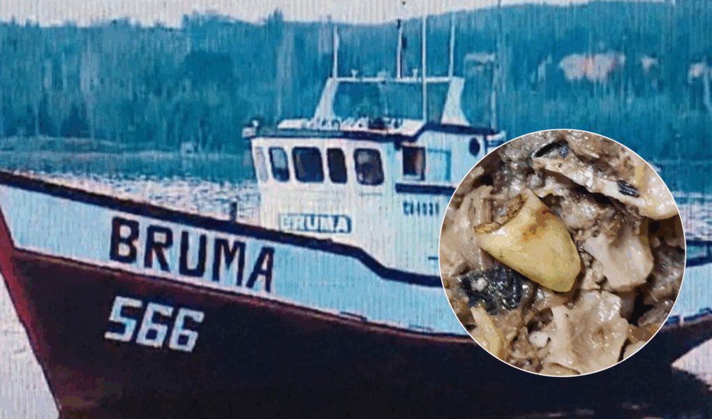 Caso Bruma: Dirigenta exige peritajes a diente hallado en conserva de jurel