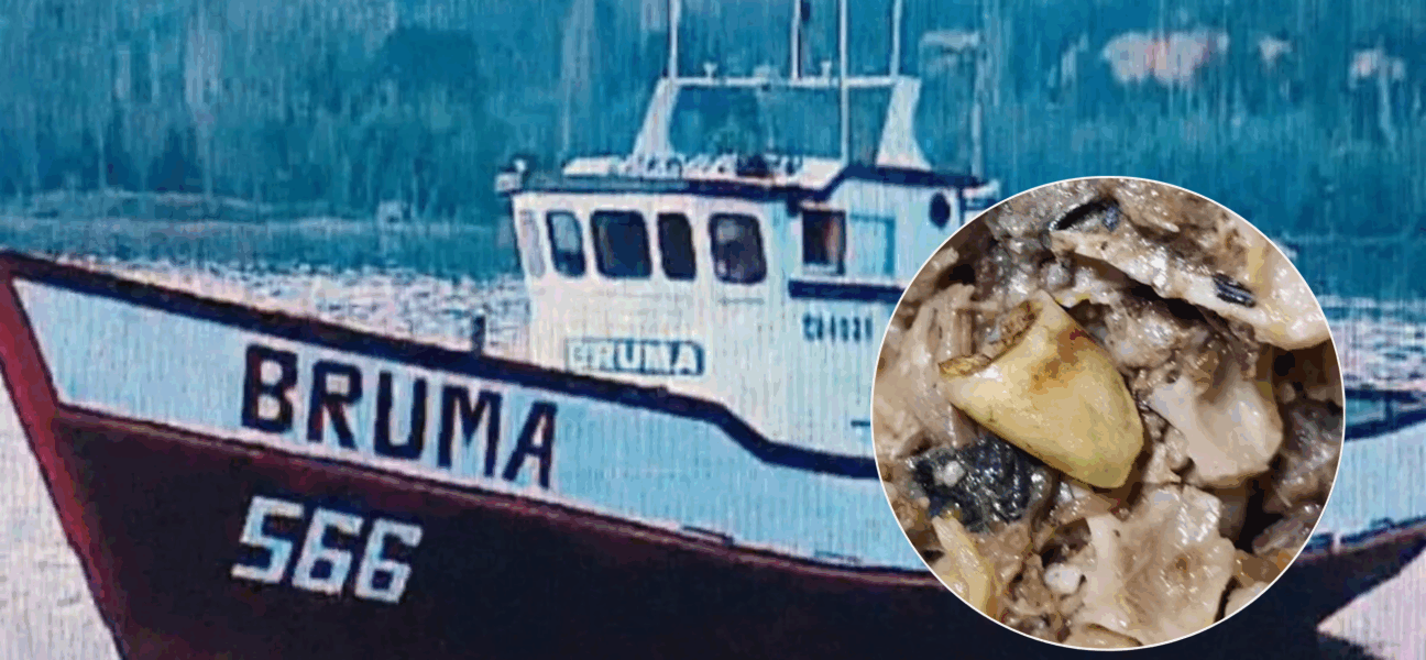 Caso Bruma: Dirigenta exige peritajes a diente hallado en conserva de jurel
