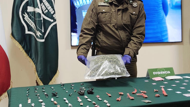 Megaoperativo en Temuco: 16 detenidos y armas incautadas en el Sector Pedro de Valdivia