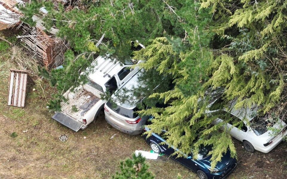 Dron de Seguridad Pública detecta escondite de autos robados en zona rural de Temuco