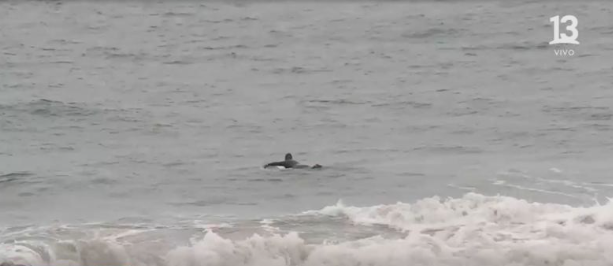 Imprudencia total: ingresan al mar en Reñaca durante alerta de tsunami