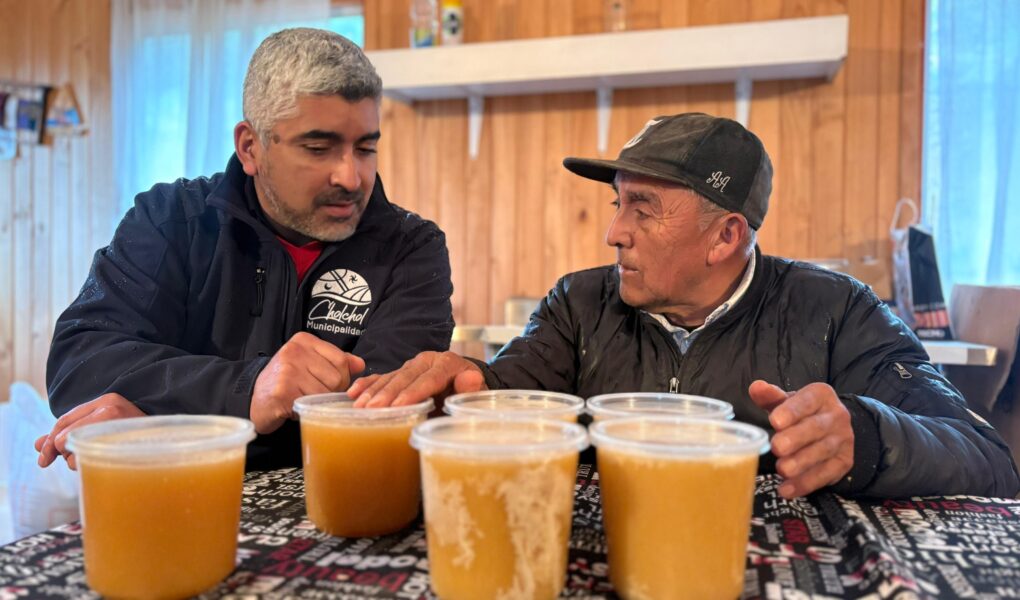 Cholchol impulsa la apicultura local con estudio sobre la calidad nutricional de su miel