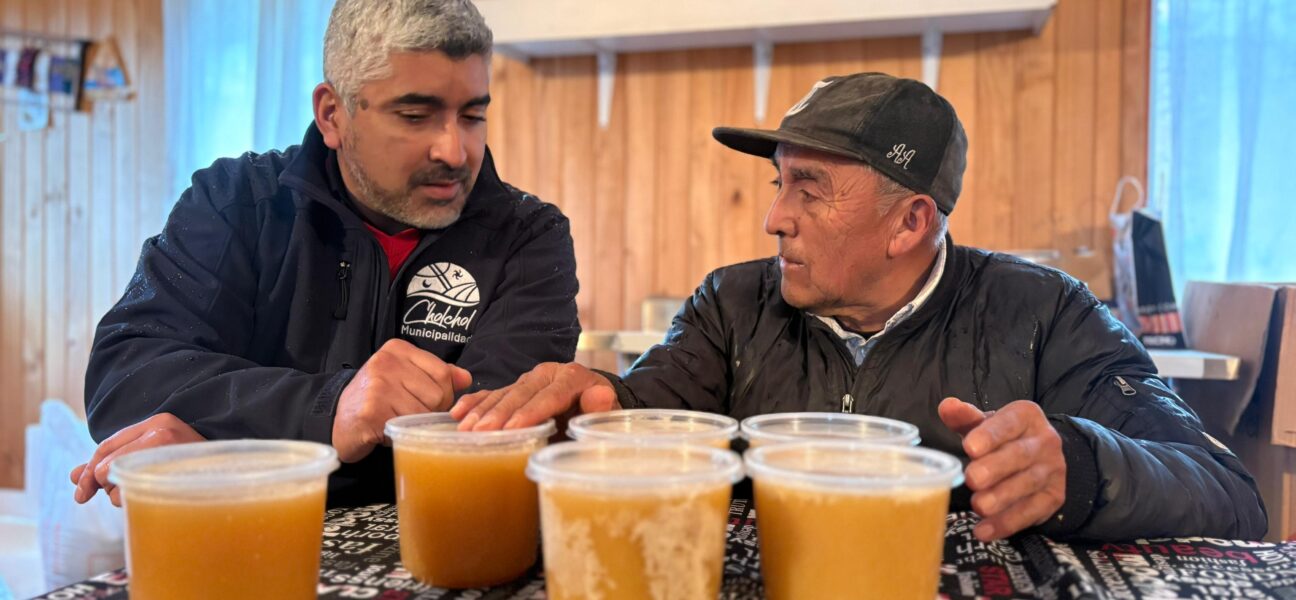 Cholchol impulsa la apicultura local con estudio sobre la calidad nutricional de su miel