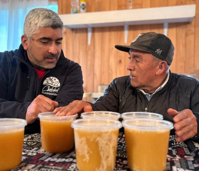 Cholchol impulsa la apicultura local con estudio sobre la calidad nutricional de su miel