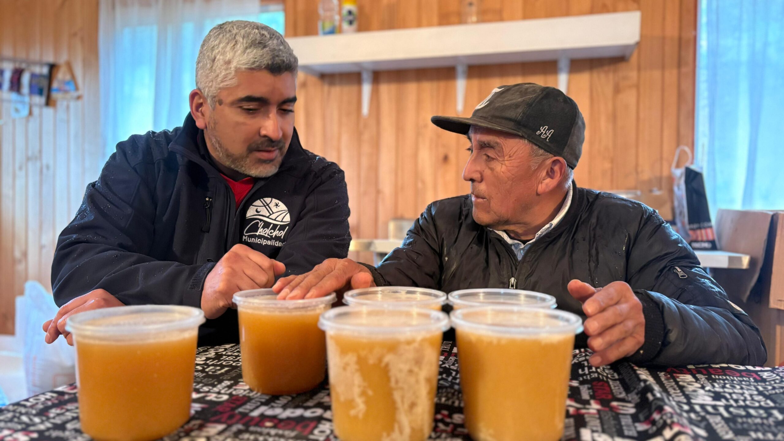 Cholchol impulsa la apicultura local con estudio sobre la calidad nutricional de su miel