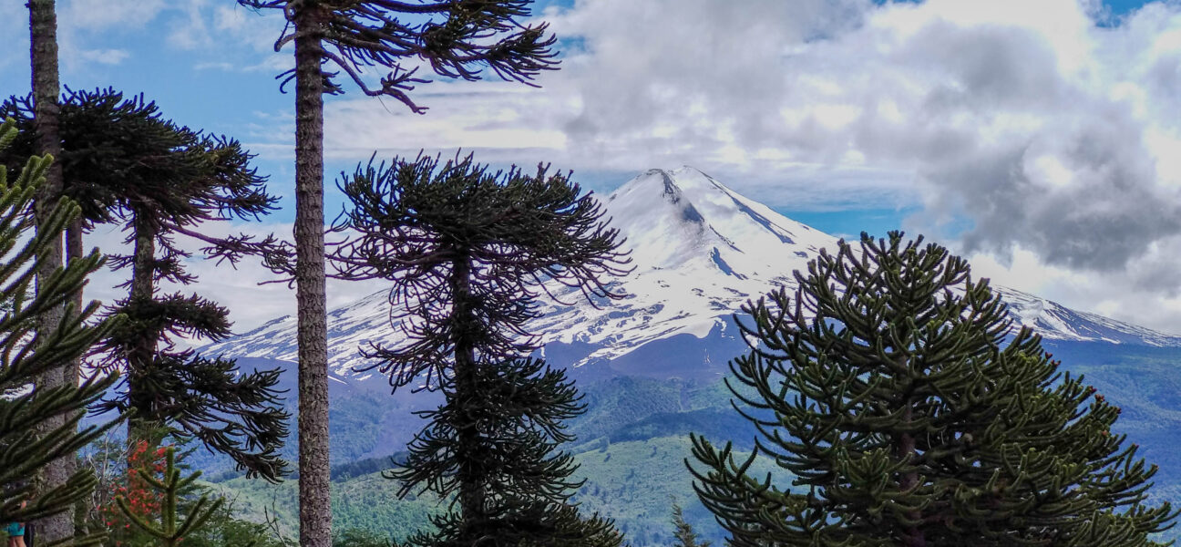 Fuente: Wiki Commons