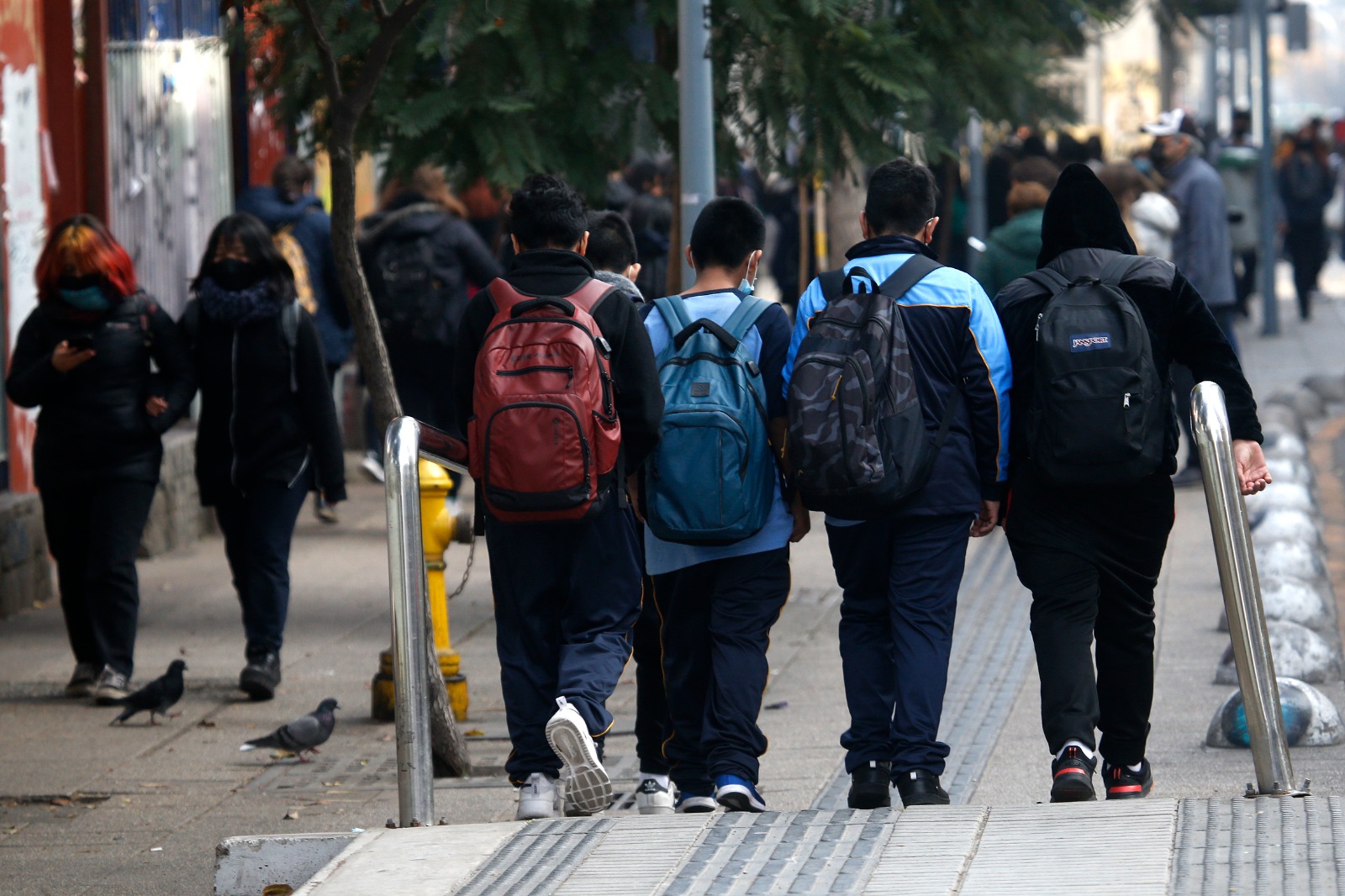 La huella invisible del smog