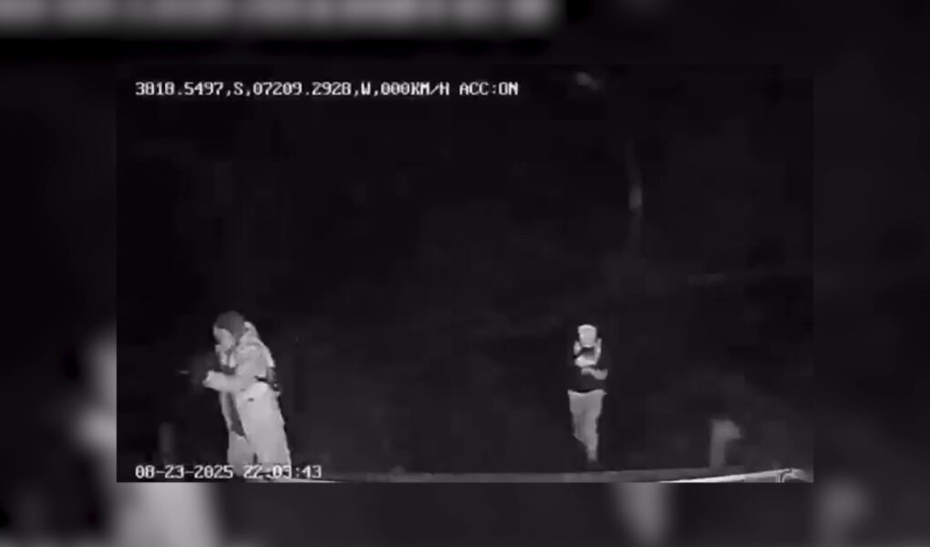 Ataque armado deja un guardia muerto y otro herido en Victoria: trabajadores de CMPC fueron emboscados