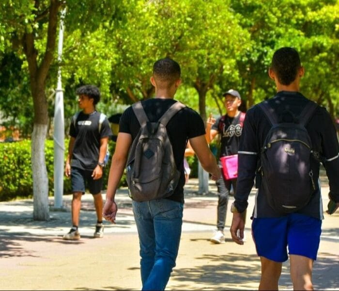 jóvenes “ninis” en Chile: superan los 336 mil y advierten riesgo de “generación perdida”