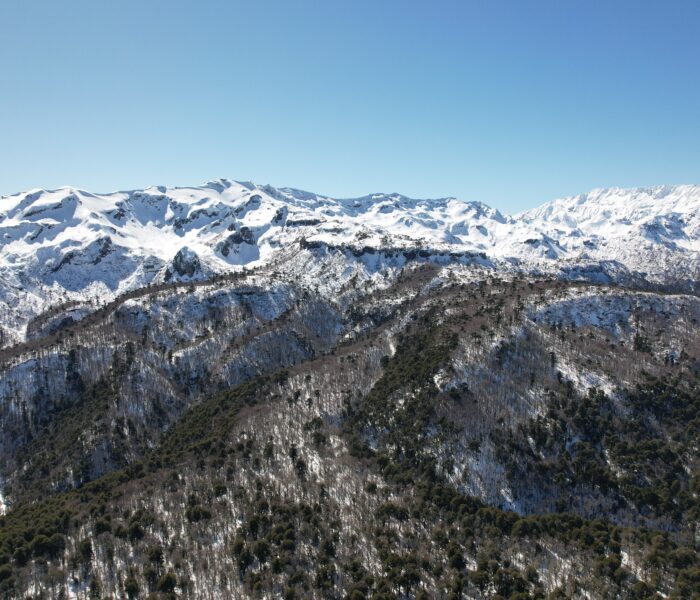 Más de 40 países participan en la Conferencia Mundial de Geoparques de la Unesco en La Araucanía