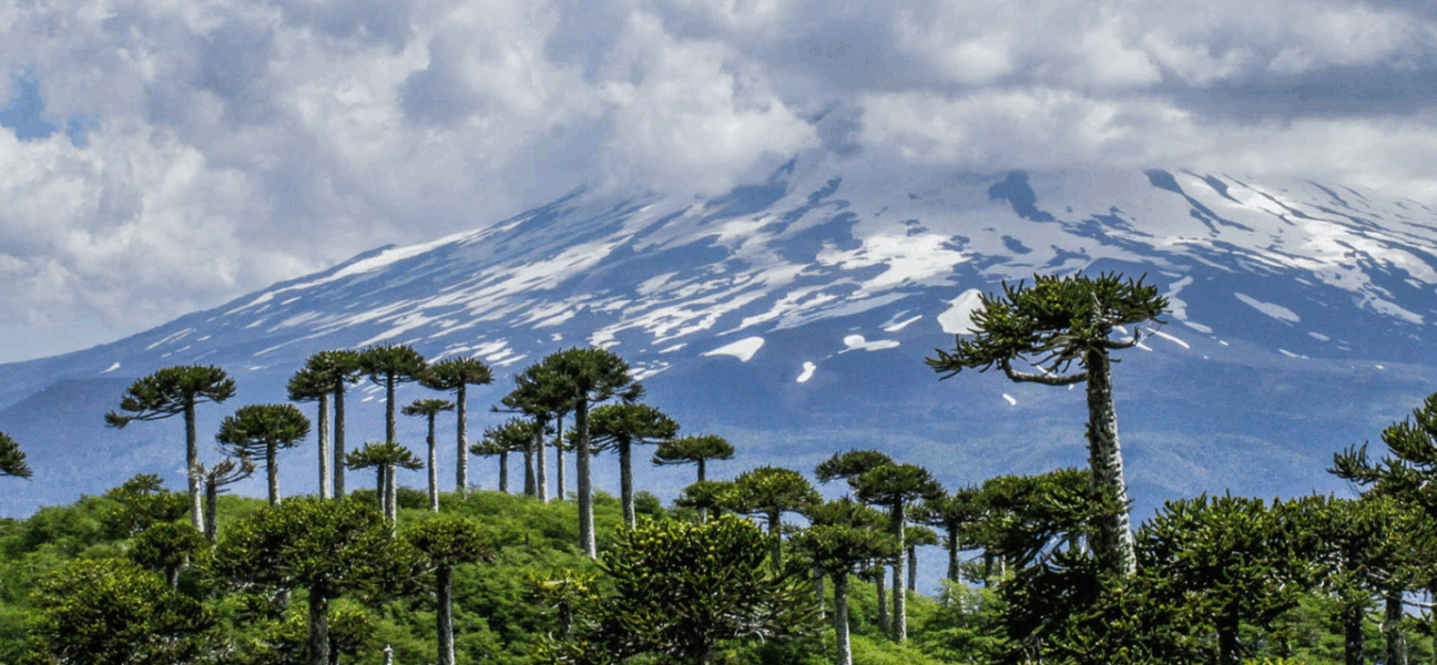 Proyectan alza del 6% en viajes a La Araucanía durante el fin de semana largo