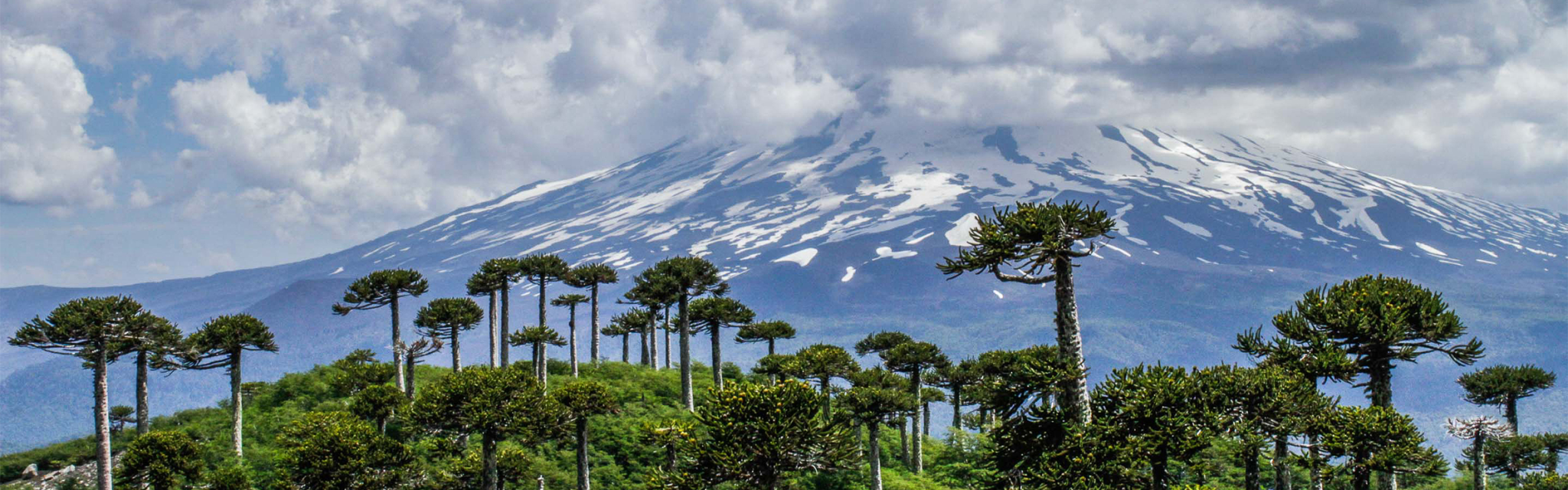 Proyectan alza del 6% en viajes a La Araucanía durante el fin de semana largo
