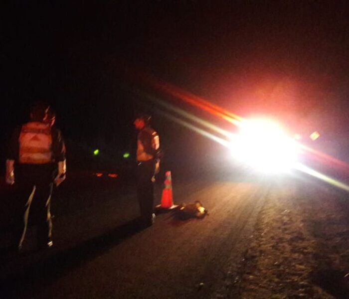 Niña de 11 años grave tras atropello de conductor reincidente en estado de ebriedad