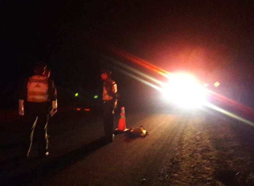 Niña de 11 años grave tras atropello de conductor reincidente en estado de ebriedad