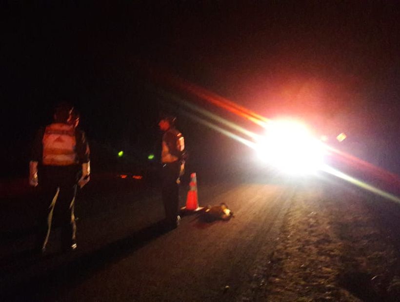 Niña de 11 años grave tras atropello de conductor reincidente en estado de ebriedad