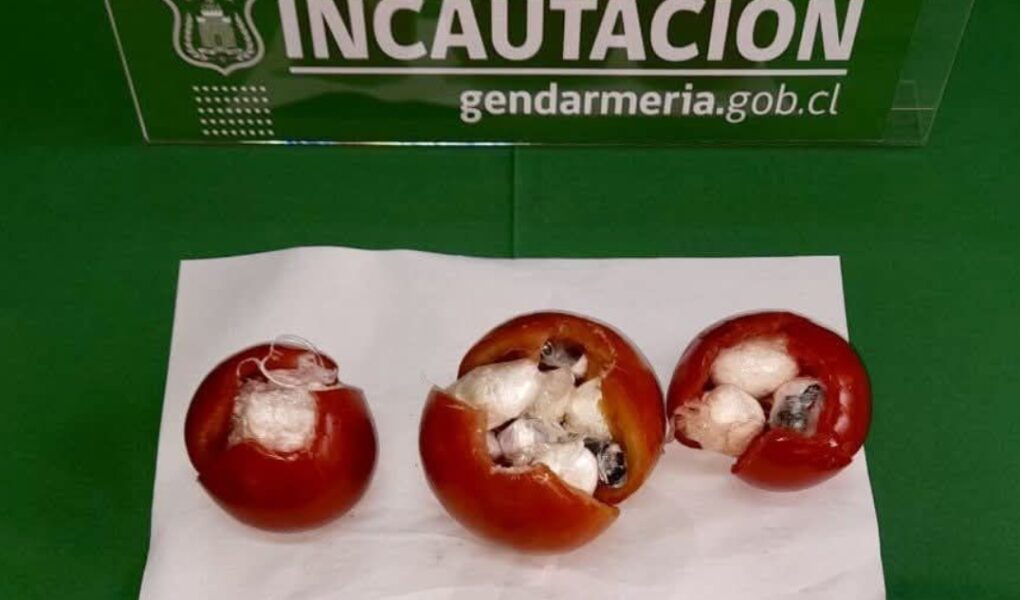 Gendarmería frustra ingreso de droga oculta en tomates a cárcel de Temuco