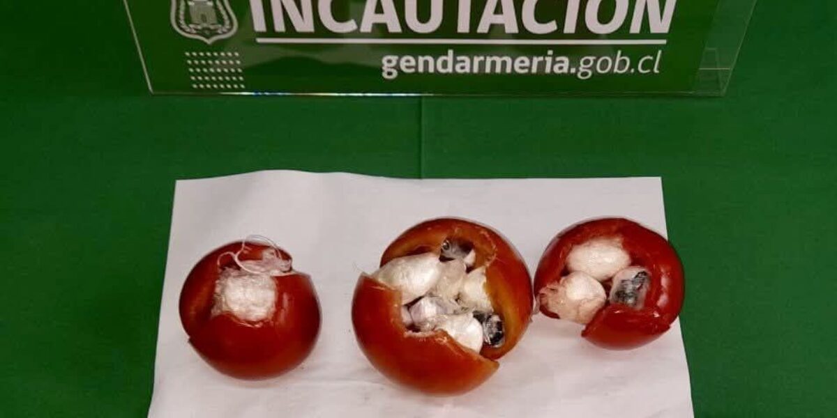 Gendarmería frustra ingreso de droga oculta en tomates a cárcel de Temuco