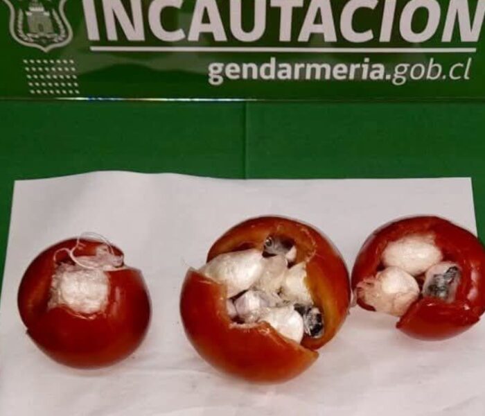 Gendarmería frustra ingreso de droga oculta en tomates a cárcel de Temuco