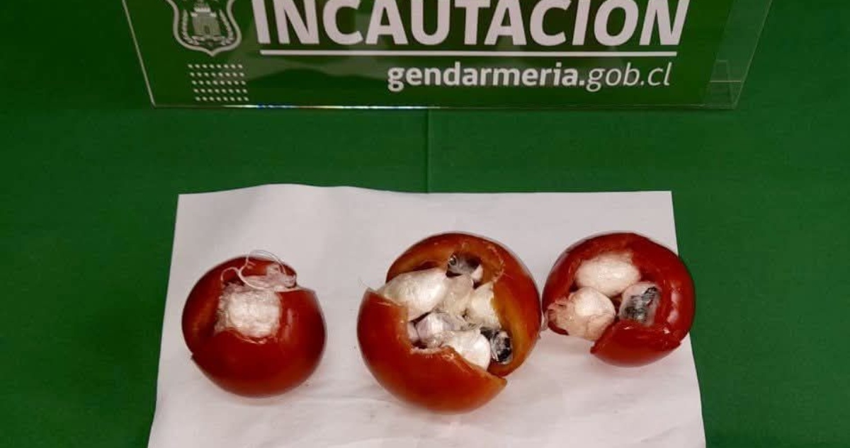 Gendarmería frustra ingreso de droga oculta en tomates a cárcel de Temuco
