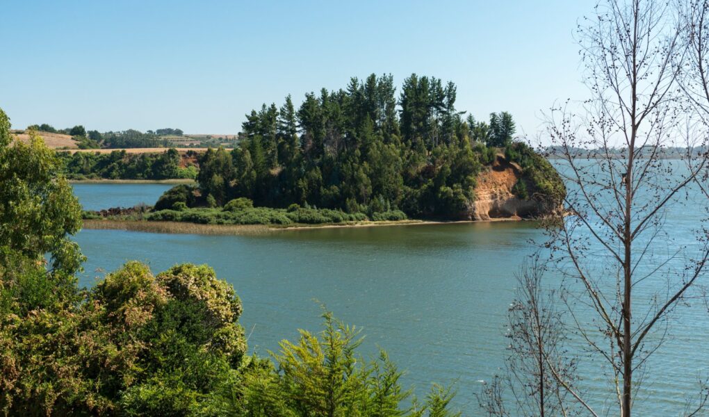 Lago Budi bajo la lupa por contaminación fecal