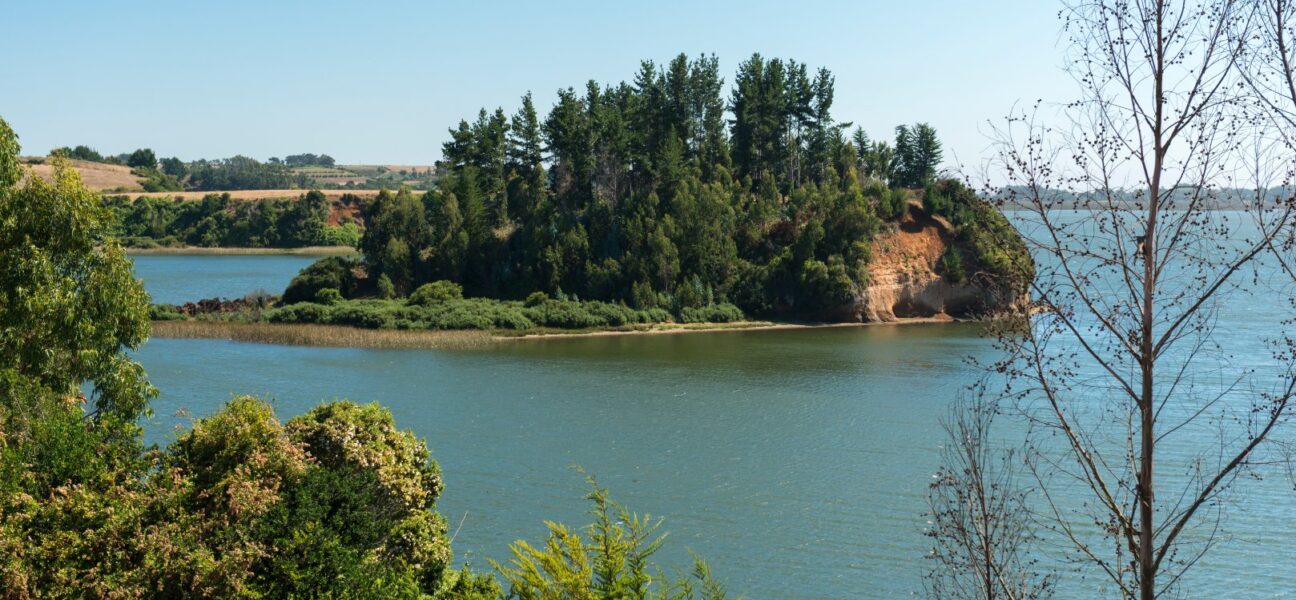 Lago Budi bajo la lupa por contaminación fecal