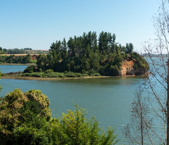 Lago Budi bajo la lupa por contaminación fecal