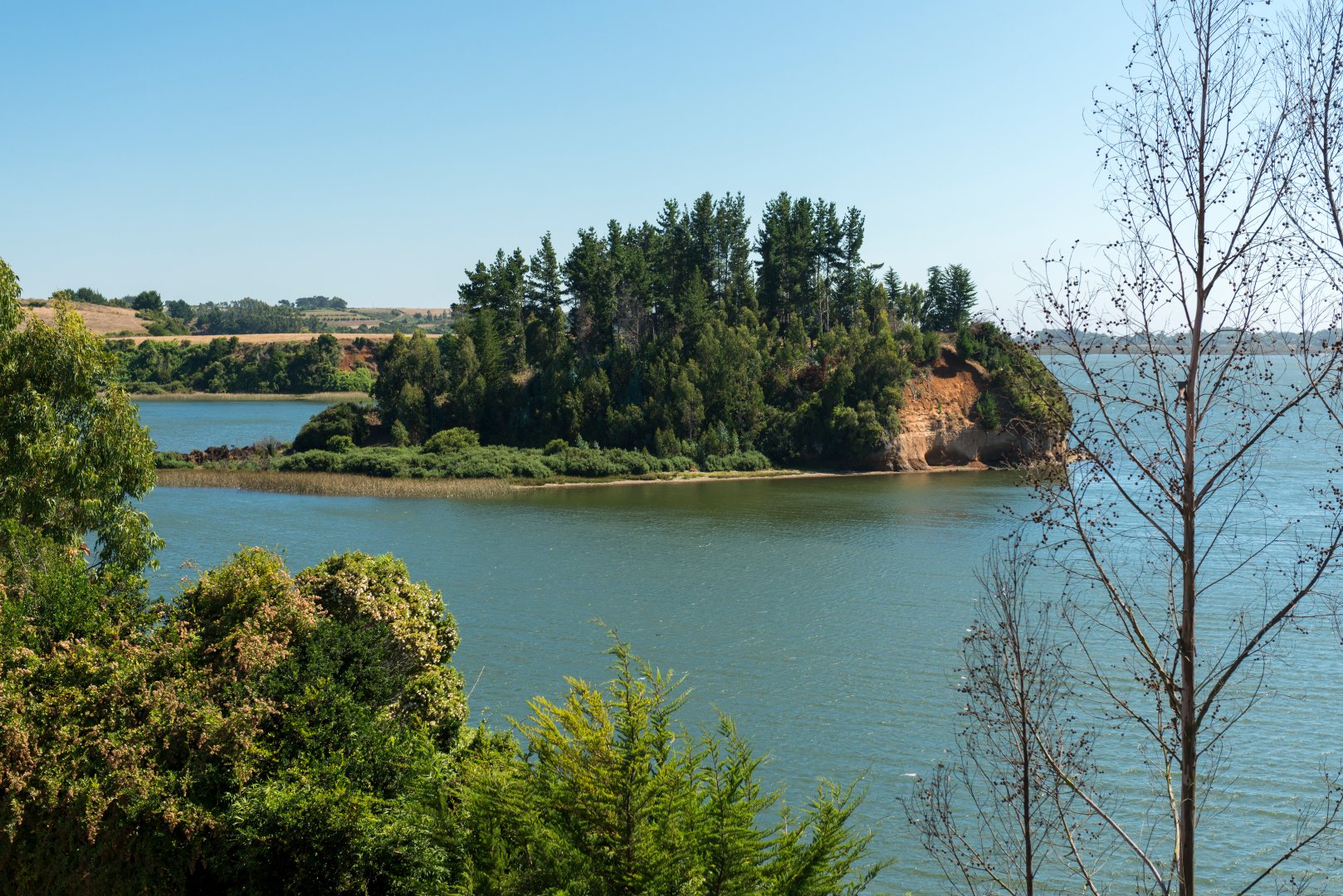 Lago Budi bajo la lupa por contaminación fecal