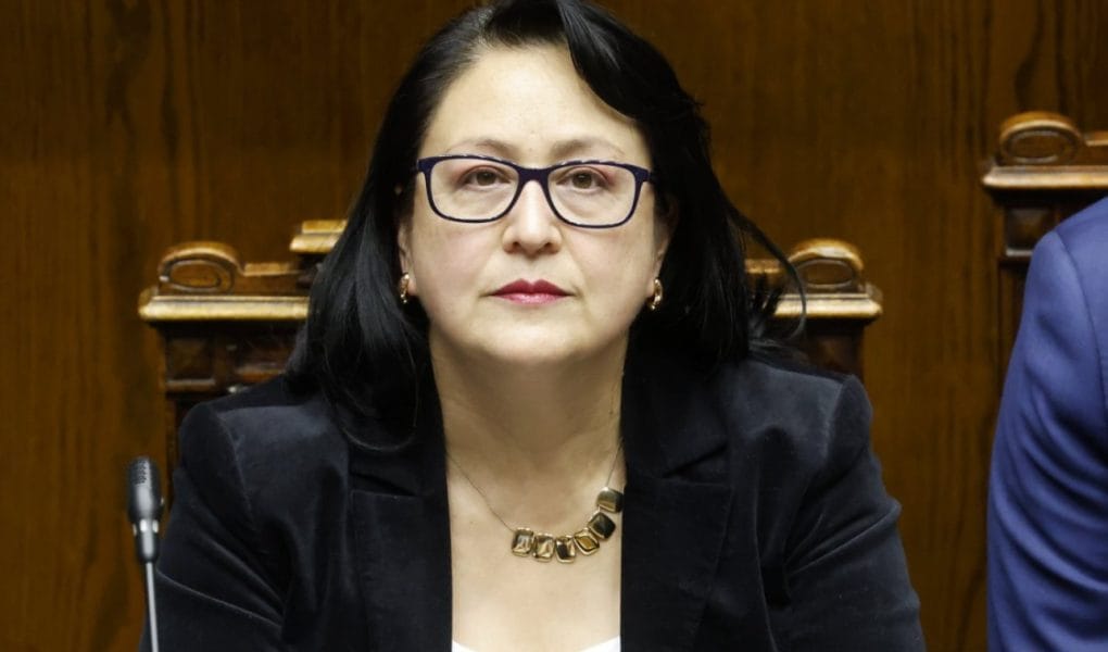 Revelan chats que complican a Dorothy Pérez: apuntan a gestiones y presiones de Hermosilla y Correa en su favor