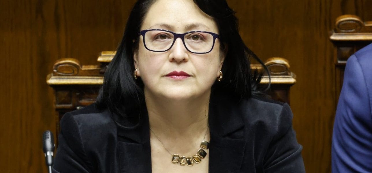 Revelan chats que complican a Dorothy Pérez: apuntan a gestiones y presiones de Hermosilla y Correa en su favor