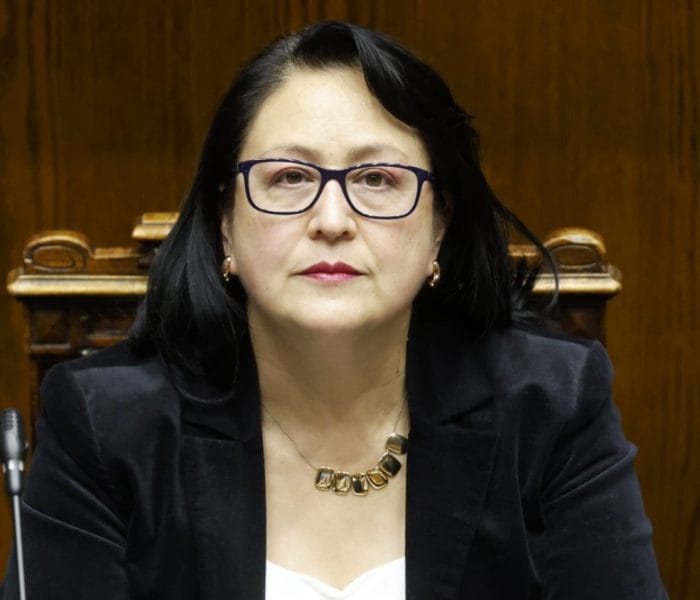 Revelan chats que complican a Dorothy Pérez: apuntan a gestiones y presiones de Hermosilla y Correa en su favor